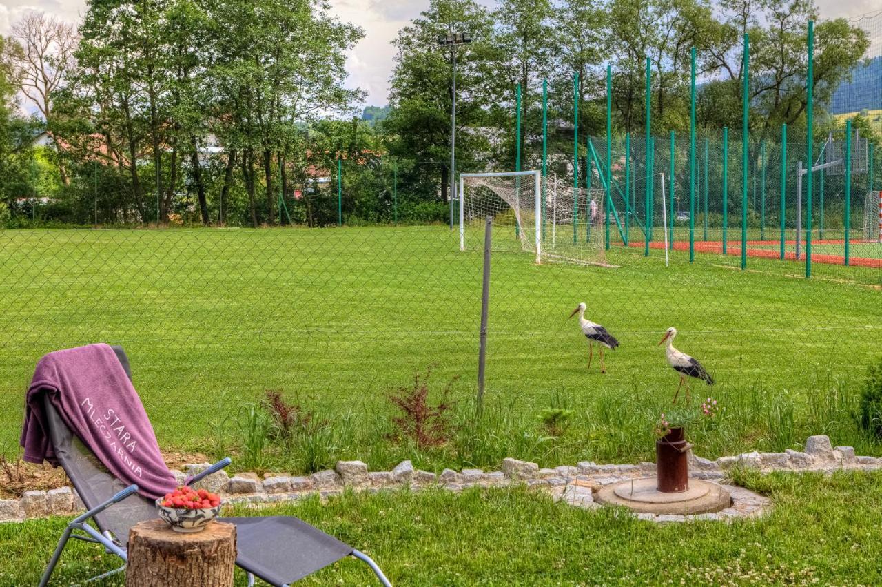 Stara Mleczarnia Appartement Tylicz Buitenkant foto